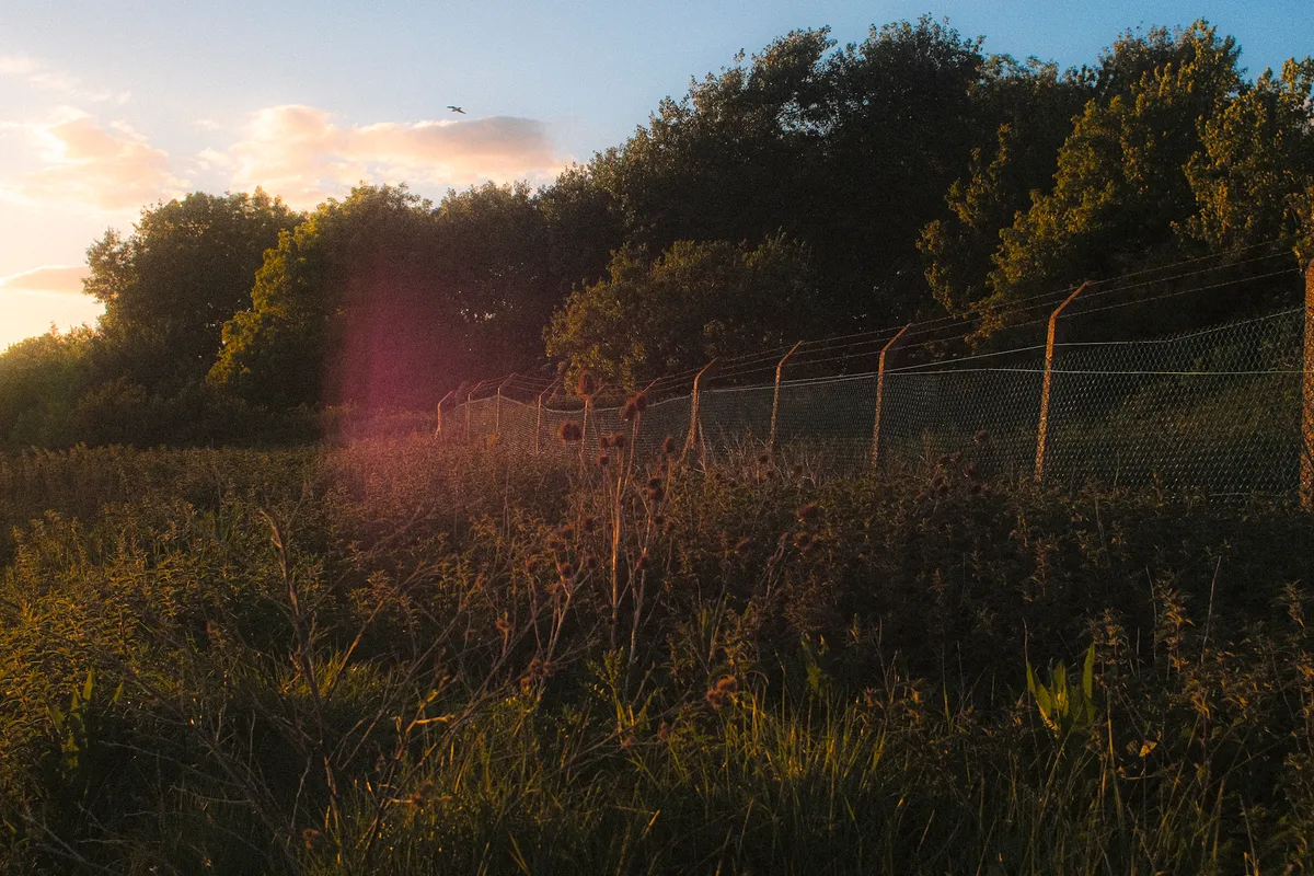 Broadmarsh walk tonight. There is beauty amongst the rubbish — 6 of 10