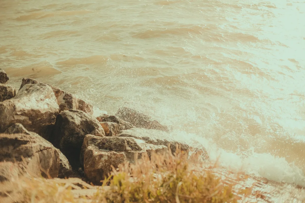 Waves