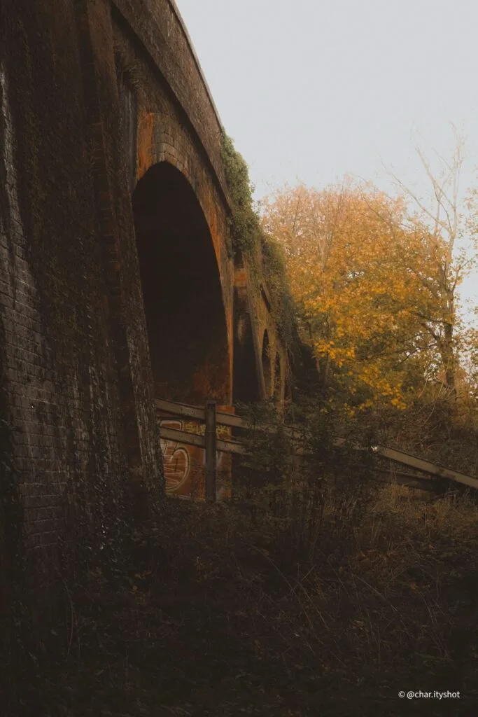 View from under the train bridge looking along the path