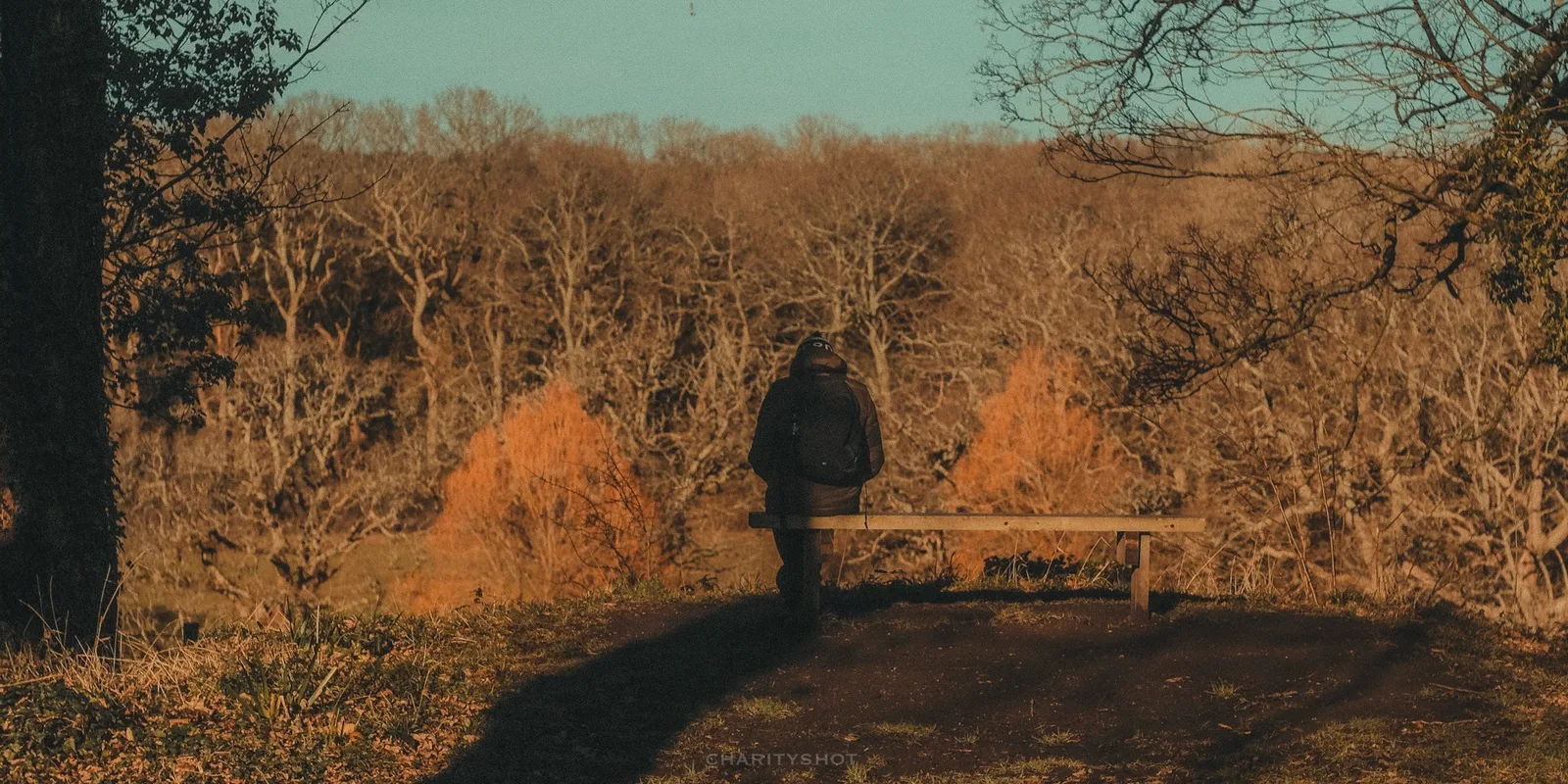 Person on bench with dramatic shadow at Staunton Country Park
