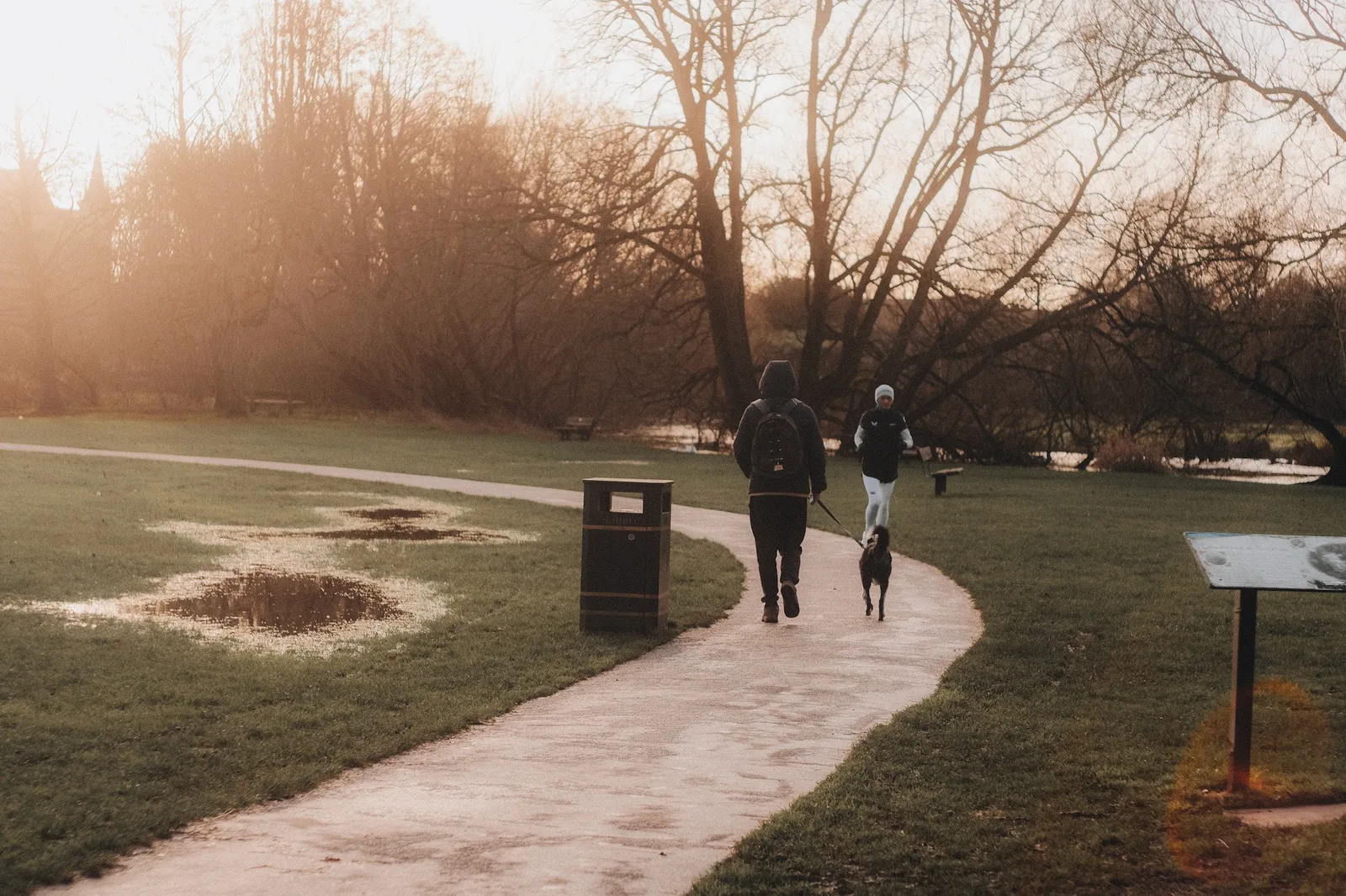 Historic timber-framed buildings in Salisbury