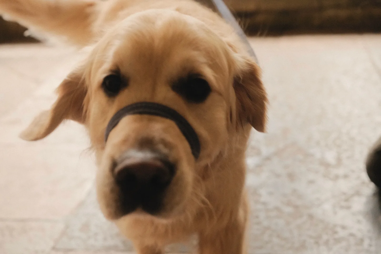 Monument in Salisbury Cathedral