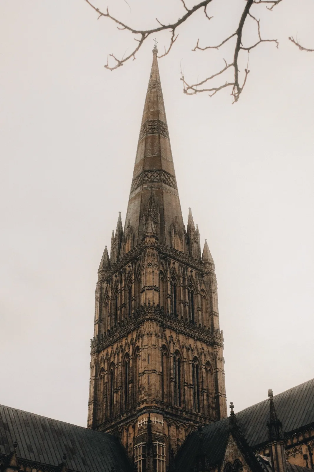 Salisbury Cathedral grounds