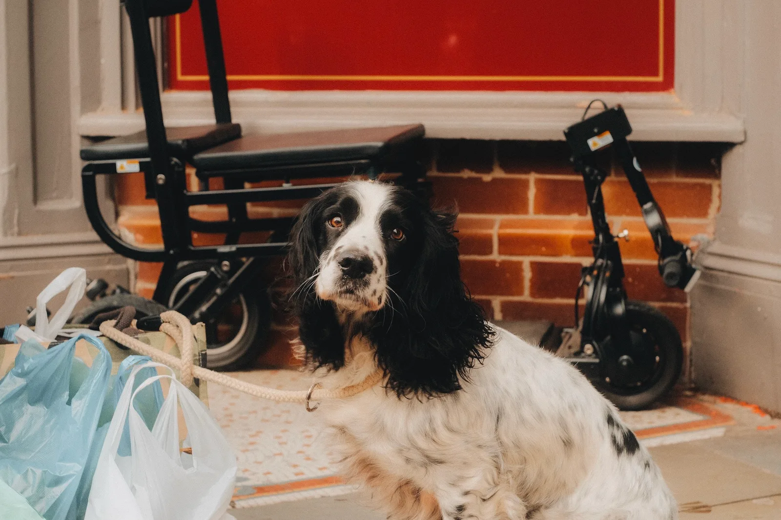 Salisbury Market Square