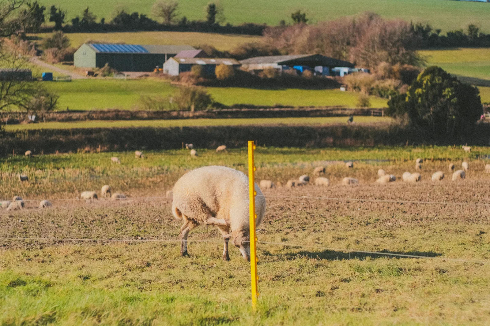 Church entrance with surrounding landscape